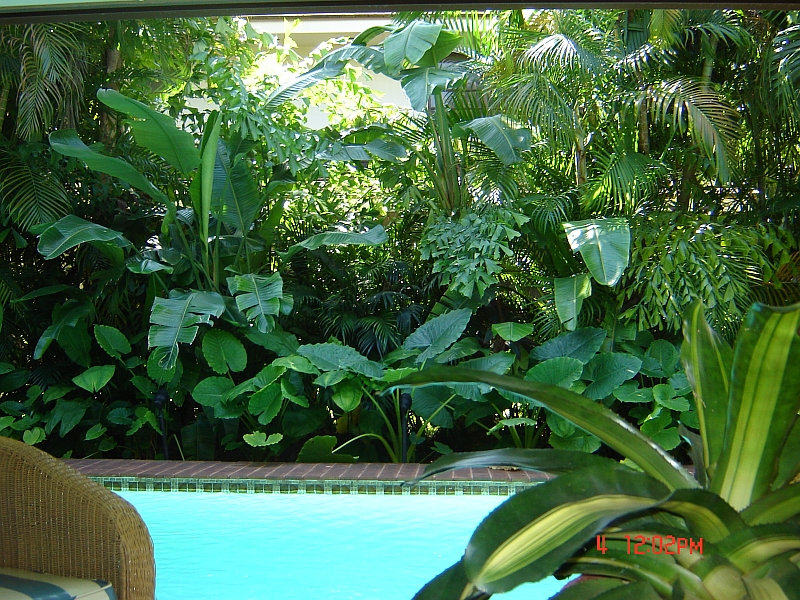 Gardens Ideas, Florida Landscaping, Tropical Landscapes, Florida 